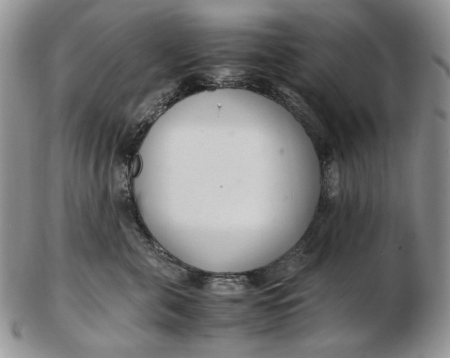 X0000102760571200809021010