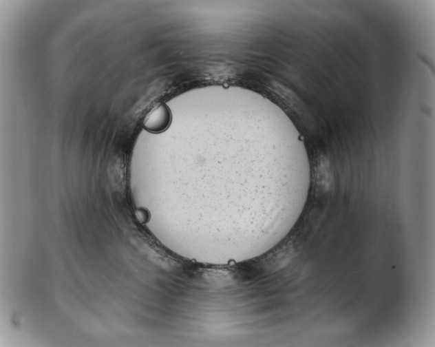 X0000102760572200809021010