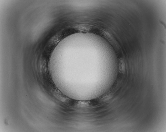 X0000102760573200809021010