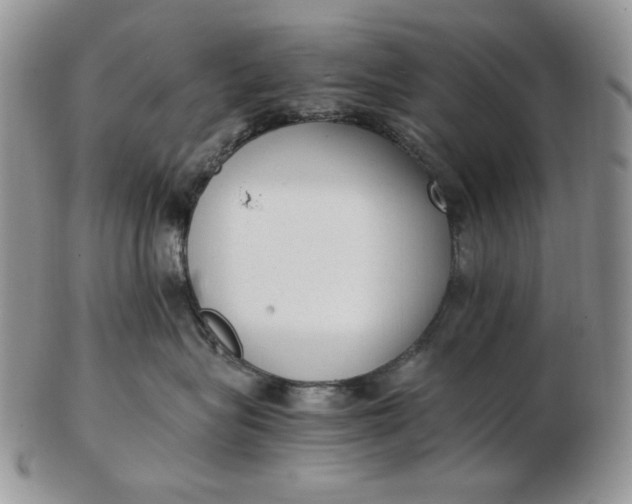 X0000102760575200809021010