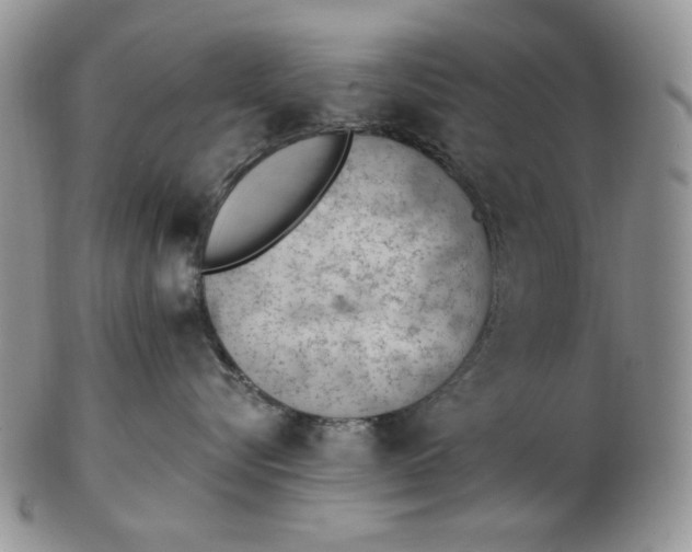 X0000102760576200809021010