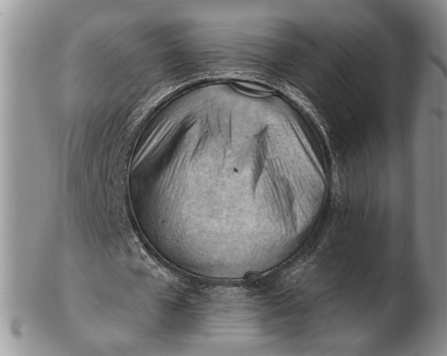 X0000102760577200809021009