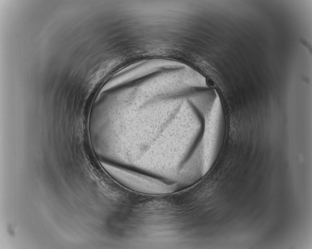 X0000102760578200809021009