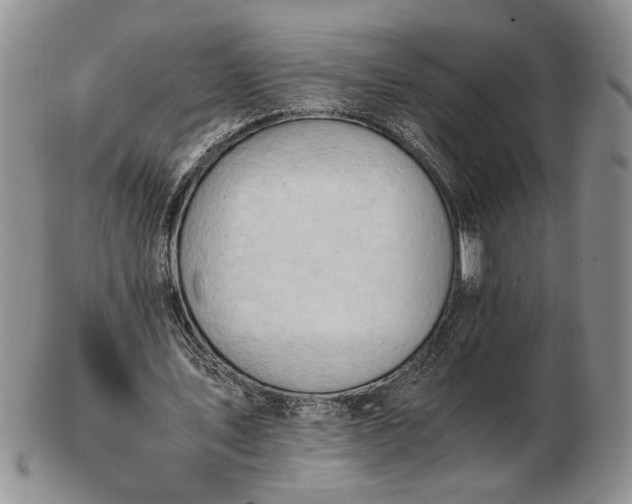 X0000102760579200809021009