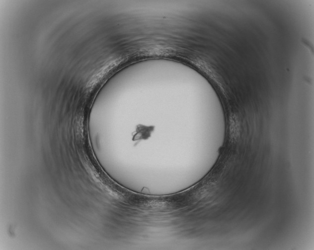 X0000102760581200809021009