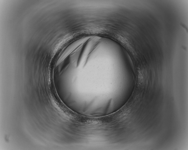 X0000102760582200809021009