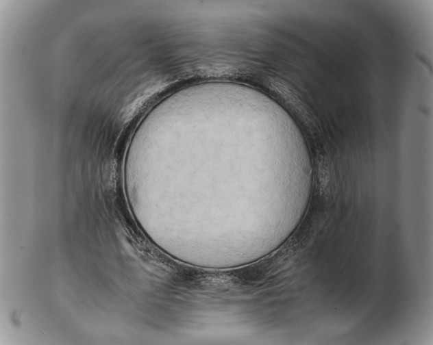 X0000102760583200809021009