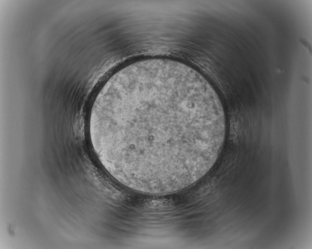 X0000102760584200809021009