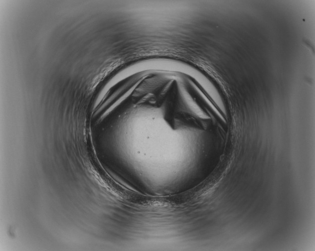 X0000102760585200809021009