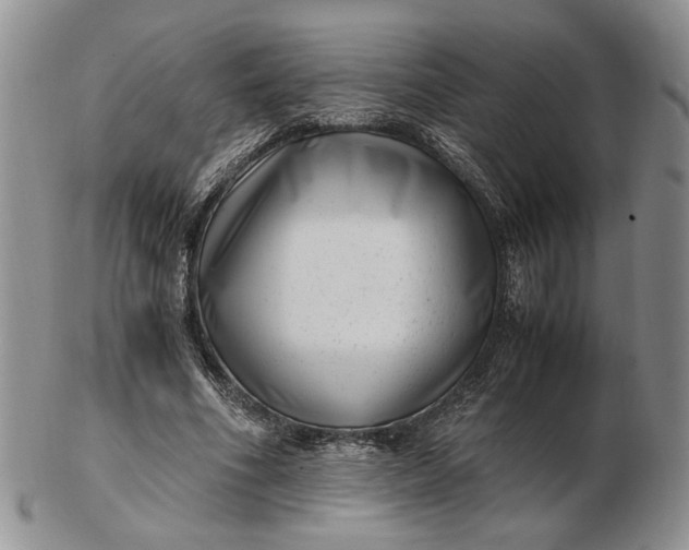 X0000102760586200809021009