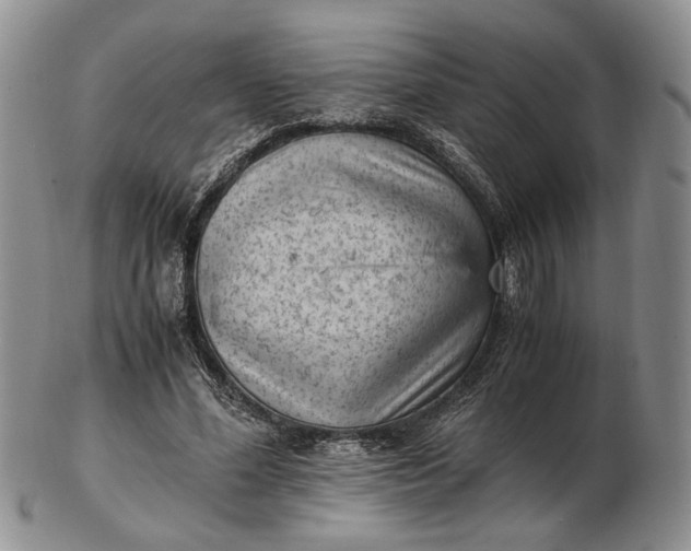 X0000102760588200809021009