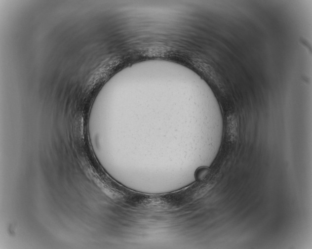 X0000102760589200809021009