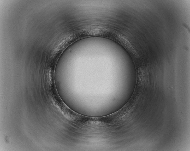 X0000102760590200809021009