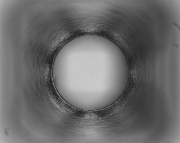 X0000102760591200809021009