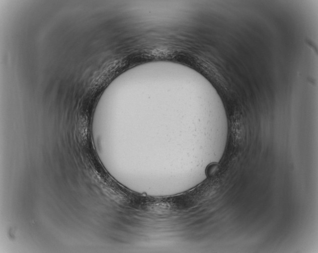 X0000102760593200809021009