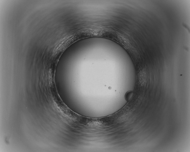 X0000102760594200809021009