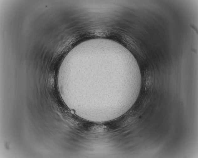 X0000102760595200809021009