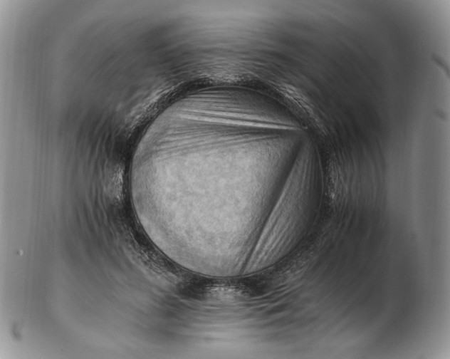 X0000102760596200809021009