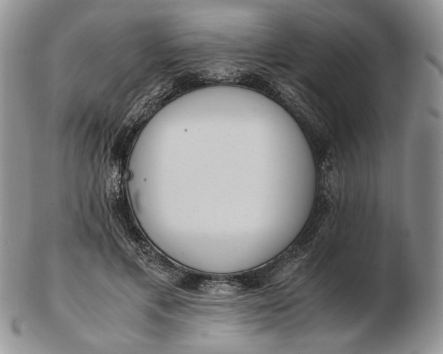 X0000102760597200809021009