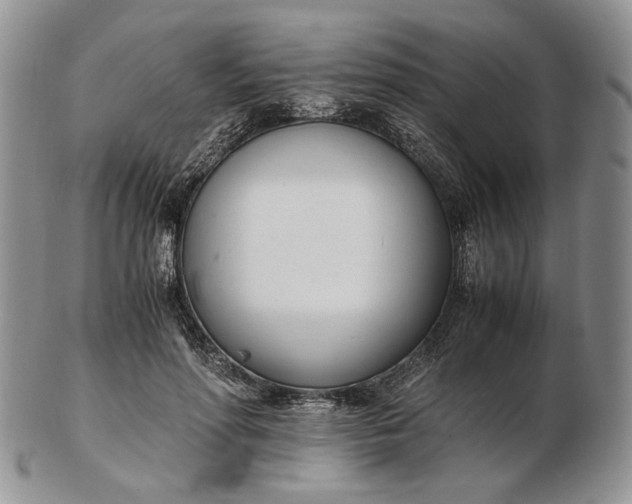 X0000102760598200809021009