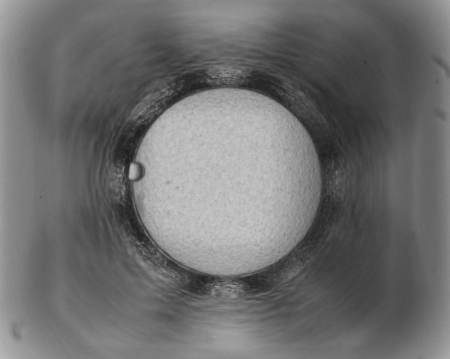 X0000102760599200809021009