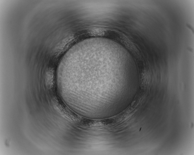 X0000102760600200809021009