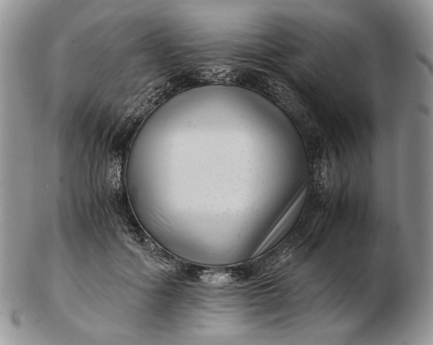 X0000102760602200809021009