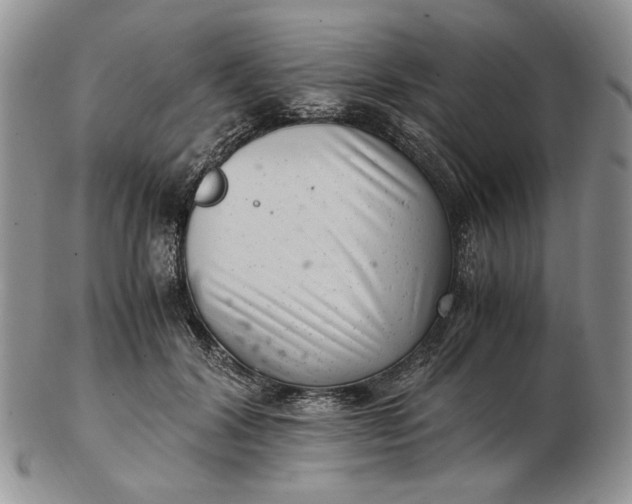 X0000102760604200809021009