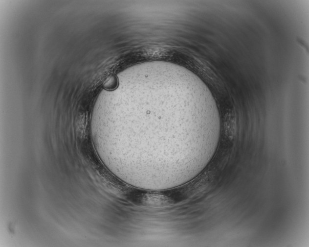 X0000102760605200809021009