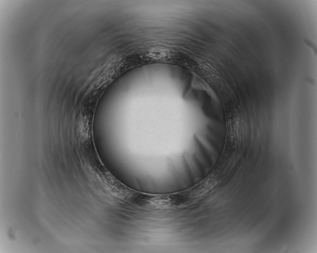 X0000102760606200809021009