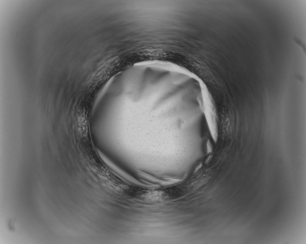 X0000102760609200809021009