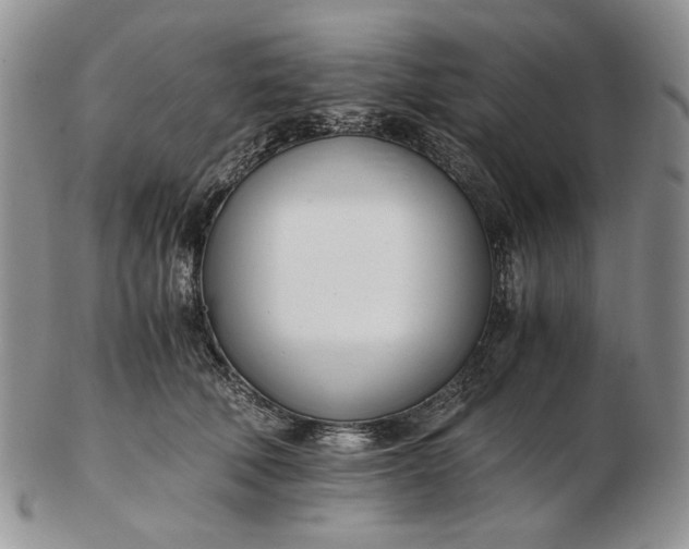 X0000102760610200809021009