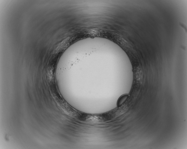 X0000102760611200809021009