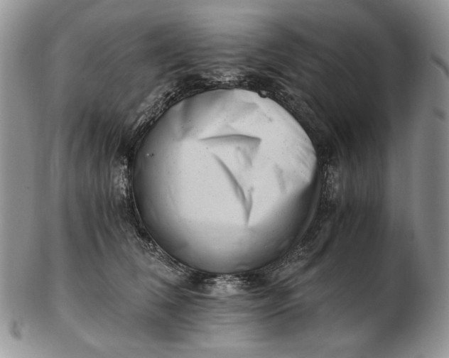 X0000102760612200809021009