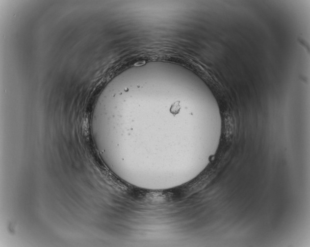 X0000102760613200809021009