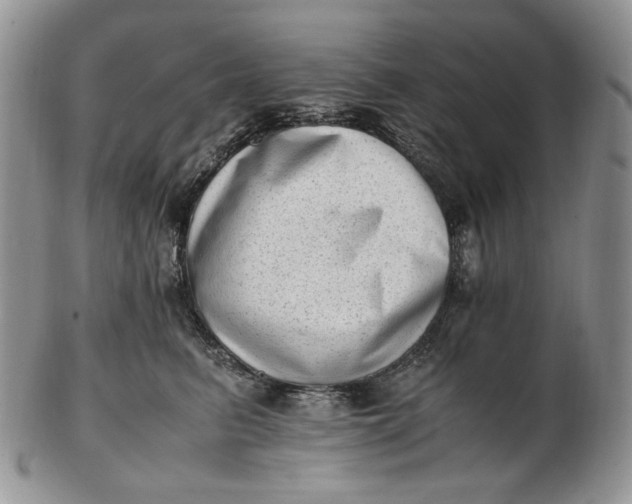 X0000102760615200809021009