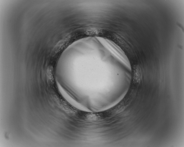 X0000102760616200809021009