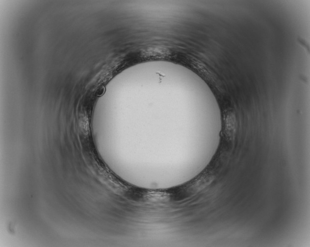 X0000102760617200809021009