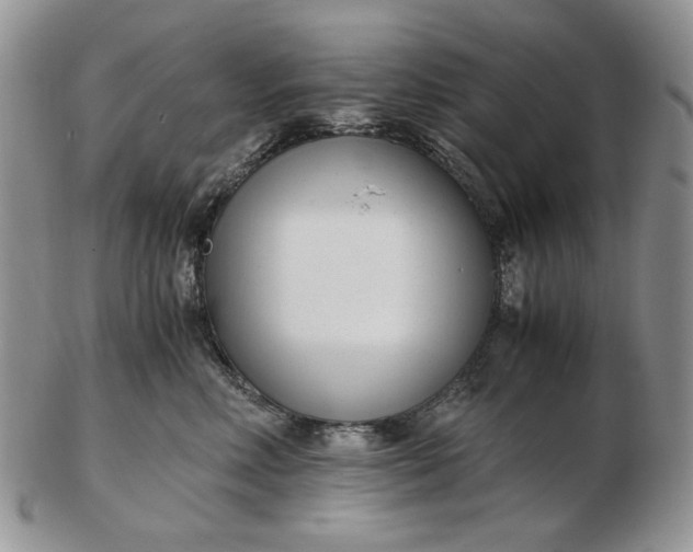 X0000102760618200809021009