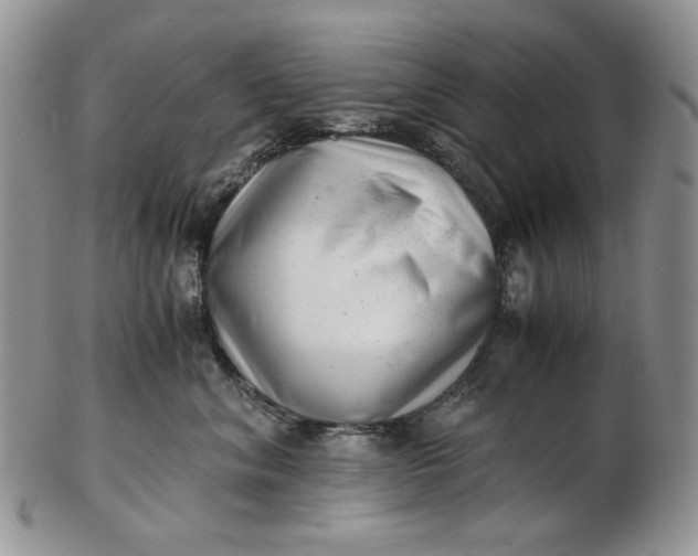 X0000102760620200809021008