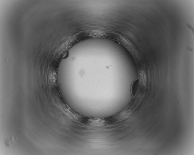 X0000102760621200809021008