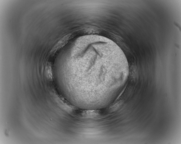 X0000102760622200809021008