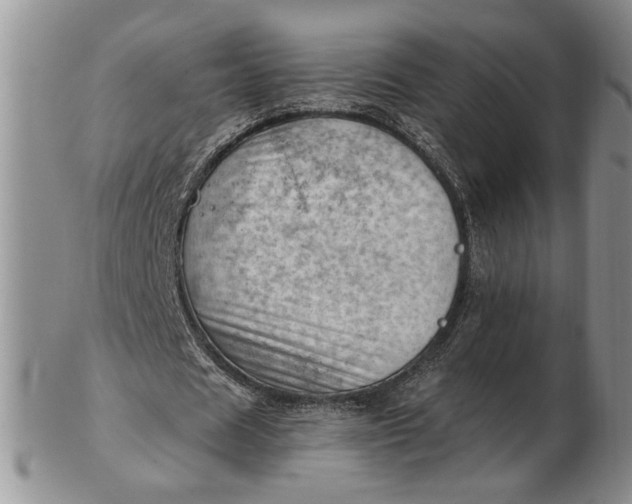 X0000102760625200809021008