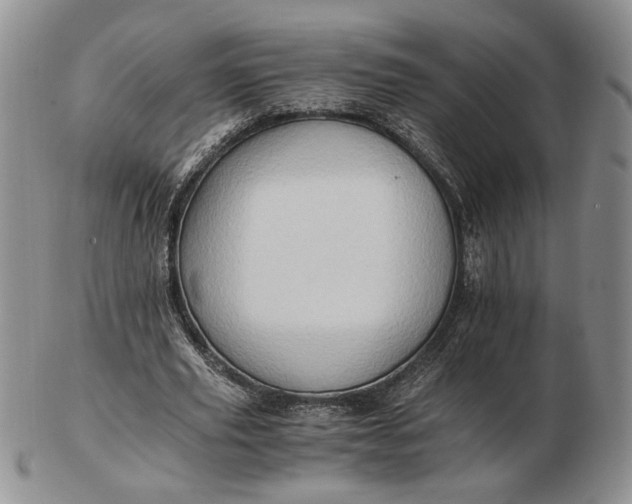 X0000102760629200809021008