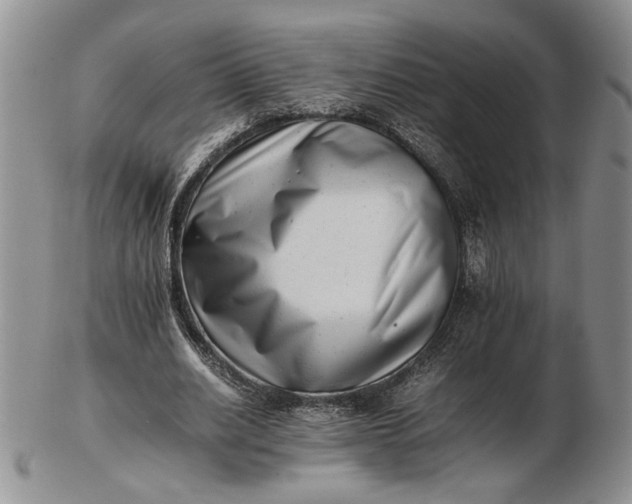 X0000102760630200809021008