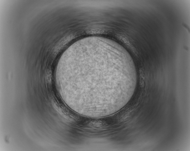 X0000102760631200809021008