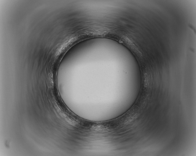 X0000102760634200809021008