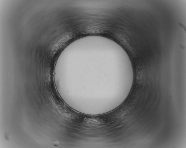 X0000102760635200809021008