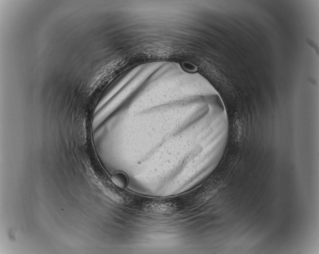 X0000102760638200809021008