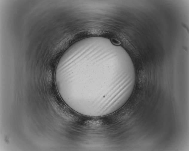 X0000102760639200809021008